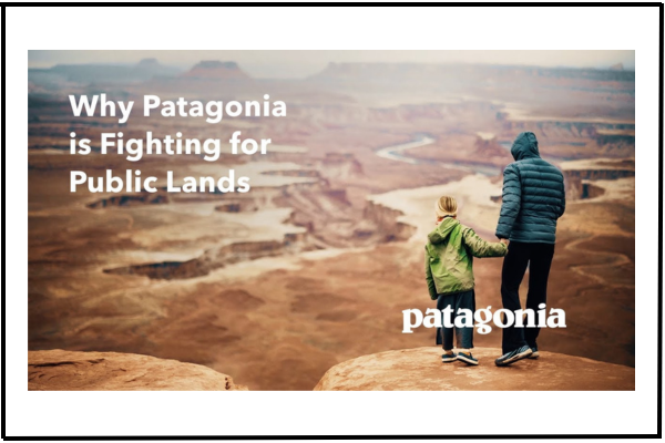 Patagonia ad with the headline ‘Why Patagonia is Fighting for Public Lands,’ highlighting the brand’s environmental activism and commitment to protecting natural spaces.