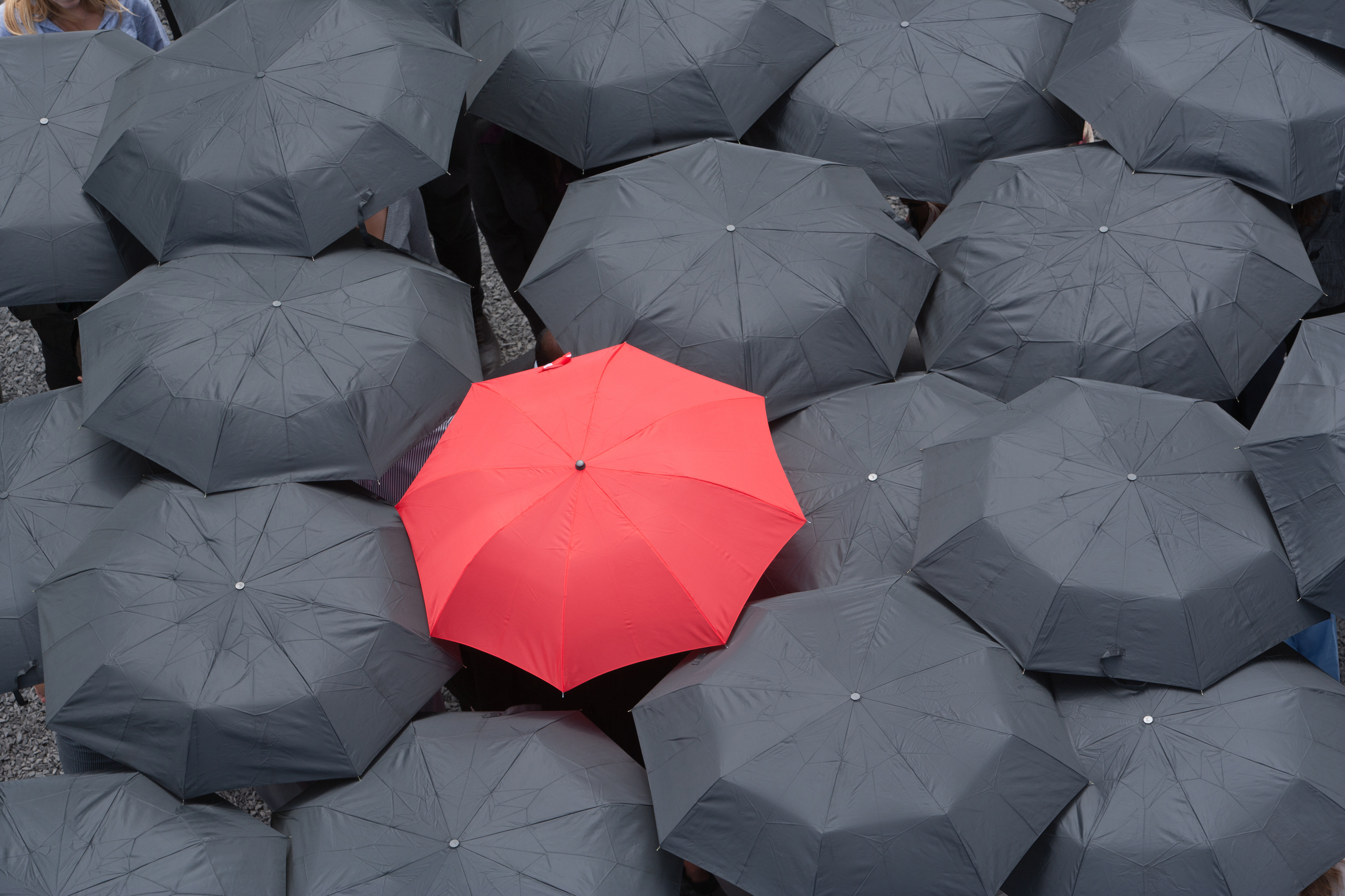 Red umbrella standing out among black umbrellas, symbolizing uniqueness and vulnerability in marketing.